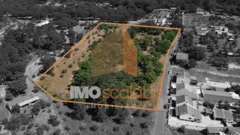 Terreno para Venda em Carregueira