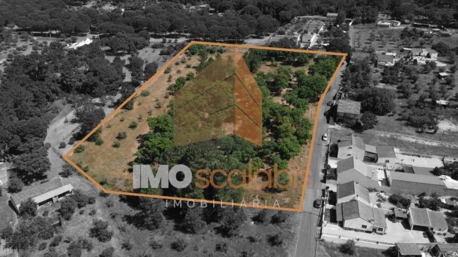 Terreno para Venda em Carregueira