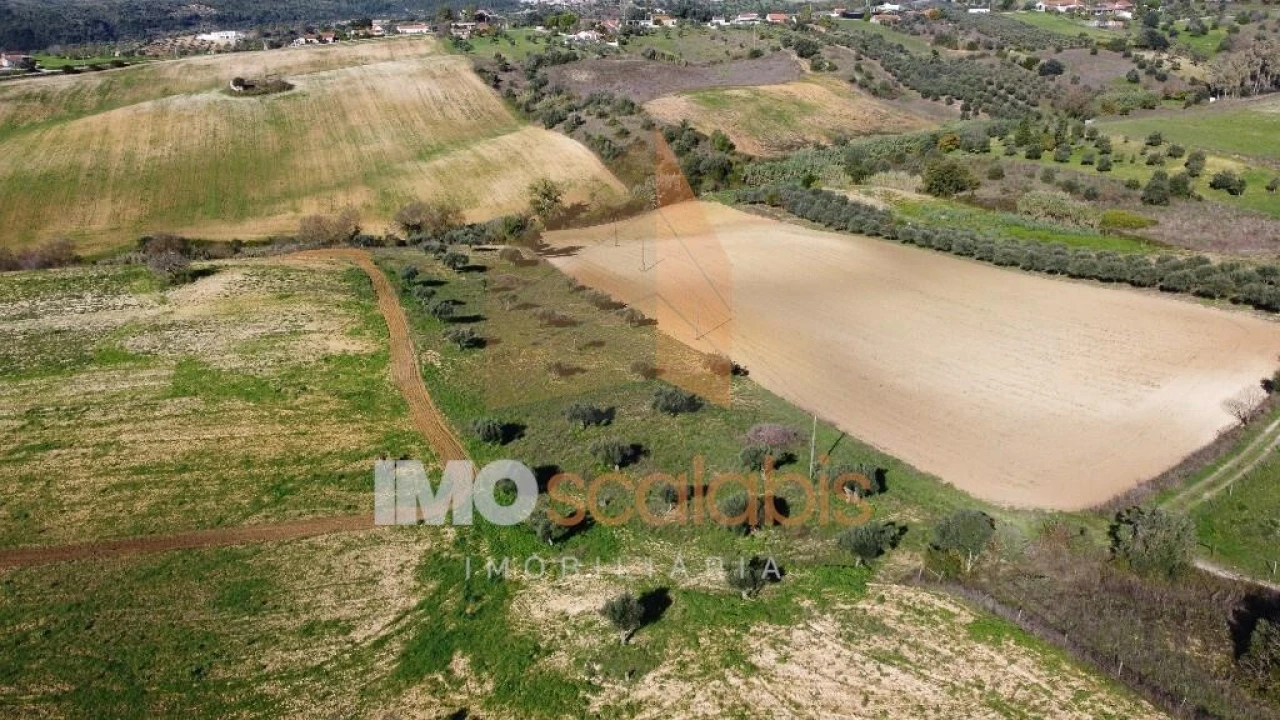 Terreno para Venda em Achete, Azoia de Baixo e Póvoa de Santarém Foto 10
