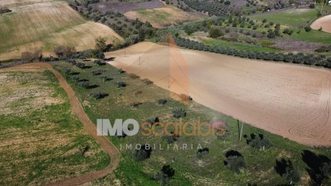 Terreno para Venda em Achete, Azoia de Baixo e Póvoa de Santarém