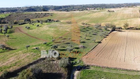 Terreno para Venda em Achete, Azoia de Baixo e Póvoa de Santarém