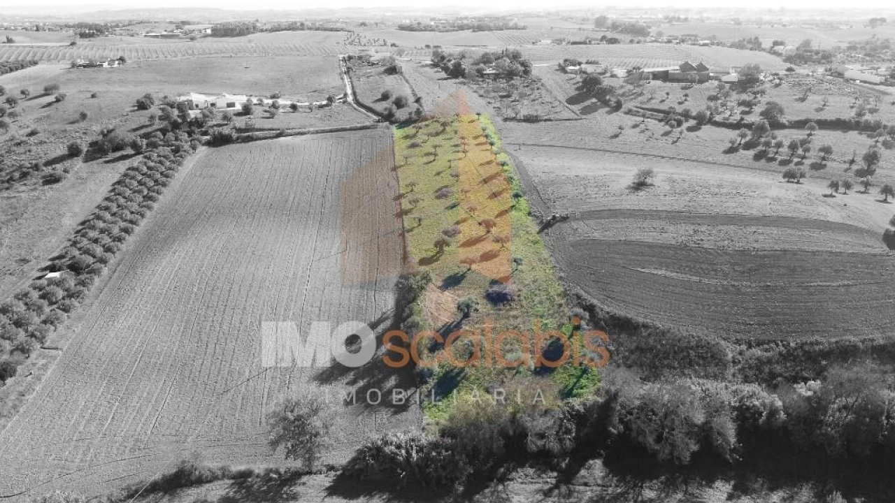 Terreno para Venda em Achete, Azoia de Baixo e Póvoa de Santarém Foto 8