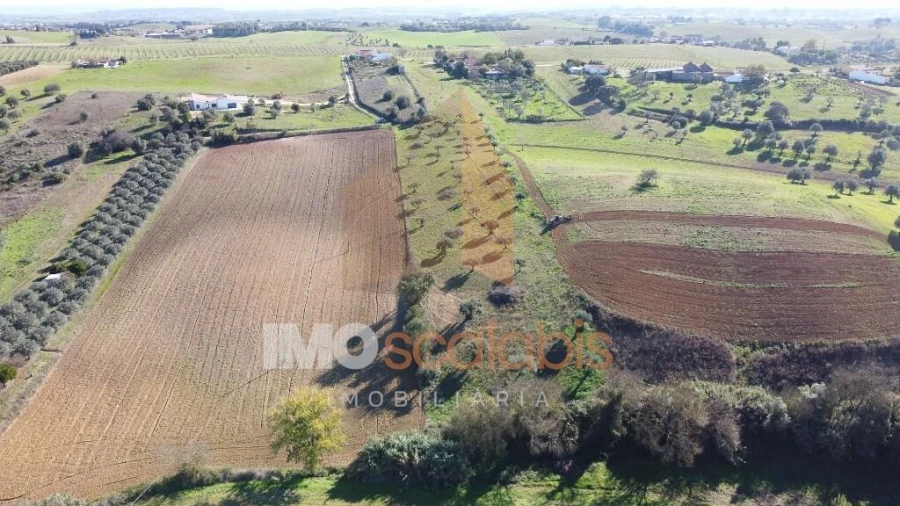 Terreno para Venda em Achete, Azoia de Baixo e Póvoa de Santarém Foto 7