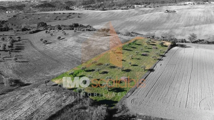 Terreno para Venda em Achete, Azoia de Baixo e Póvoa de Santarém Foto 3