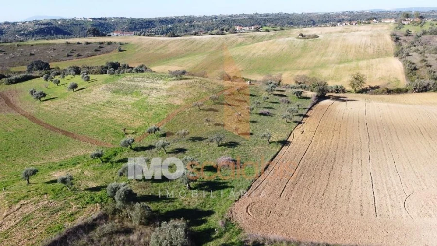 Terreno para Venda em Achete, Azoia de Baixo e Póvoa de Santarém Foto 2