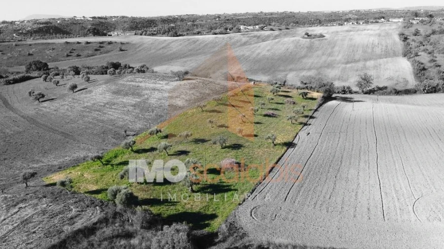 Terreno para Venda em Achete, Azoia de Baixo e Póvoa de Santarém