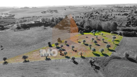 Terreno para Venda em Achete, Azoia de Baixo e Póvoa de Santarém