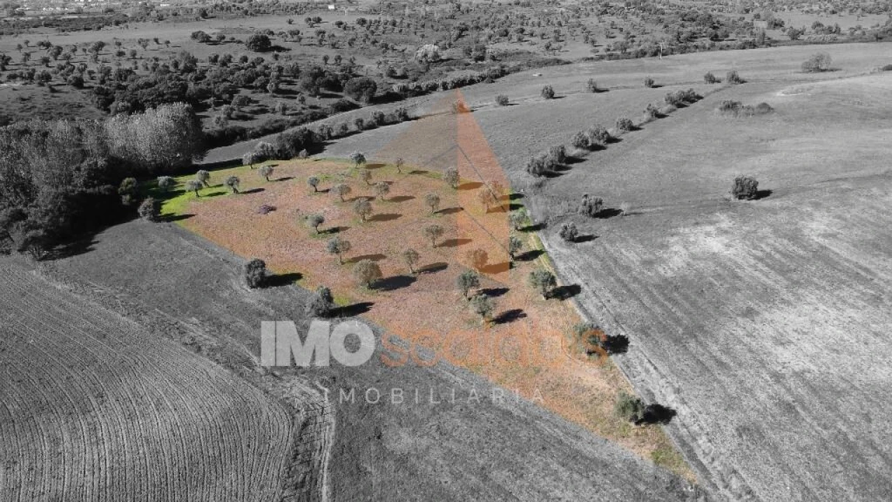 Terreno para Venda em Achete, Azoia de Baixo e Póvoa de Santarém Foto 7