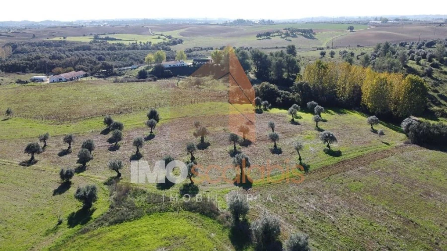 Terreno para Venda em Achete, Azoia de Baixo e Póvoa de Santarém Foto 6