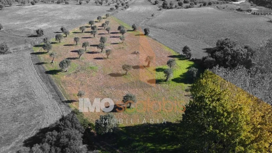 Terreno para Venda em Achete, Azoia de Baixo e Póvoa de Santarém