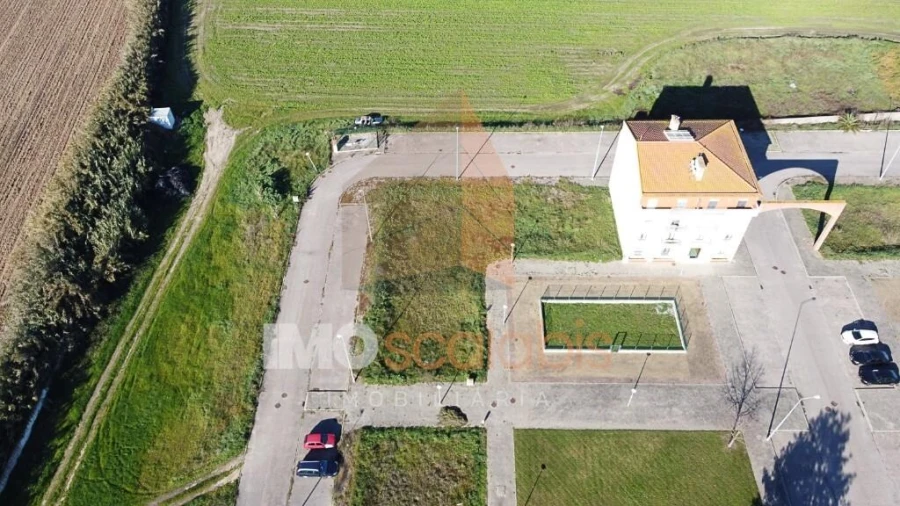 Terreno para Venda em Alpiarça Foto 3
