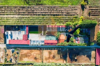 Moradia T5 para Venda em Alpiarça