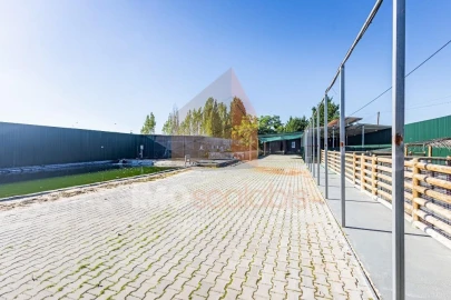 Moradia T5 para Venda em Alpiarça