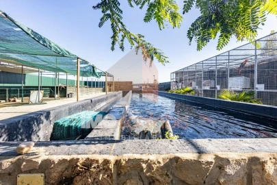 Moradia T5 para Venda em Alpiarça