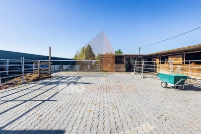 Moradia T5 para Venda em Alpiarça