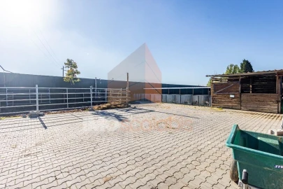Moradia T5 para Venda em Alpiarça
