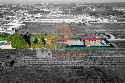 Moradia T5 para Venda em Alpiarça