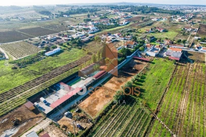 Moradia T5 para Venda em Alpiarça
