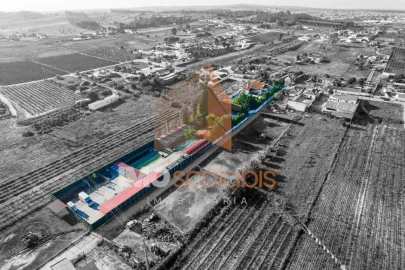 Moradia T5 para Venda em Alpiarça
