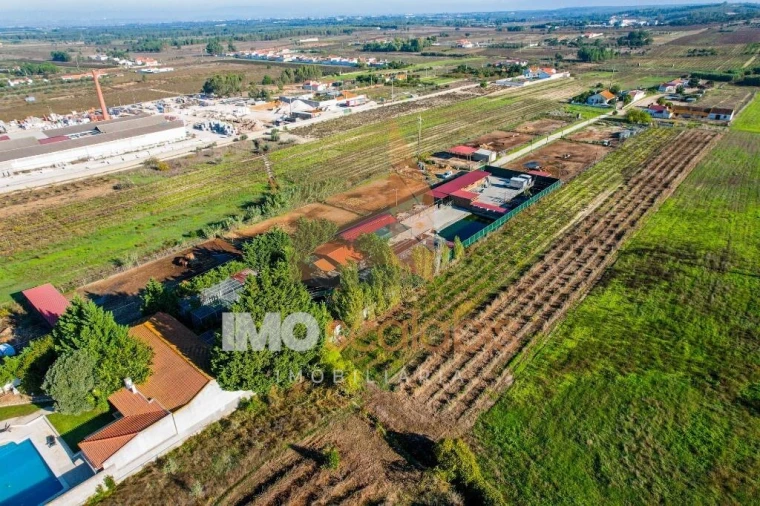 Moradia T5 para Venda em Alpiarça Foto 23