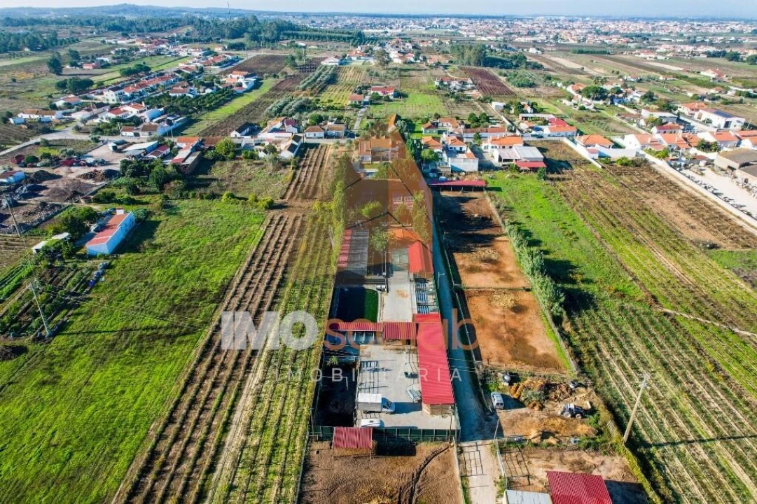 Moradia T5 para Venda em Alpiarça Foto 17