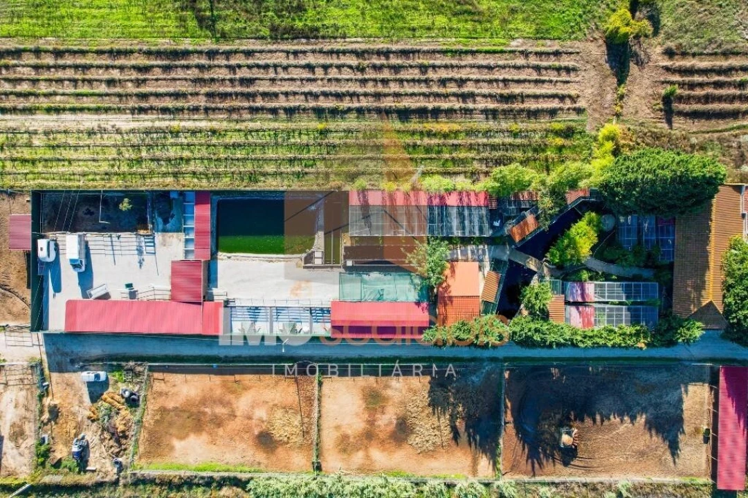 Moradia T5 para Venda em Alpiarça Foto 3