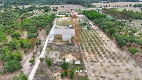 Armazém para Venda em Parreira e Chouto