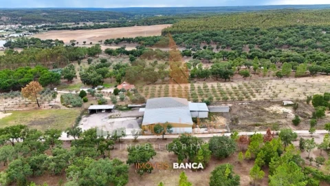 Armazém para Venda em Parreira e Chouto