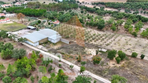 Armazém para Venda em Parreira e Chouto