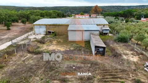 Armazém para Venda em Parreira e Chouto