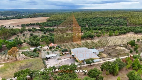 Armazém para Venda em Parreira e Chouto