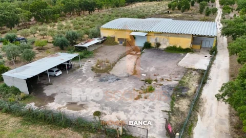 Armazém para Venda em Parreira e Chouto