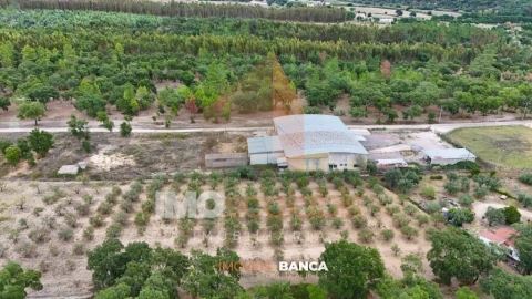 Armazém para Venda em Parreira e Chouto