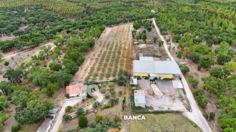 Armazém para Venda em Parreira e Chouto
