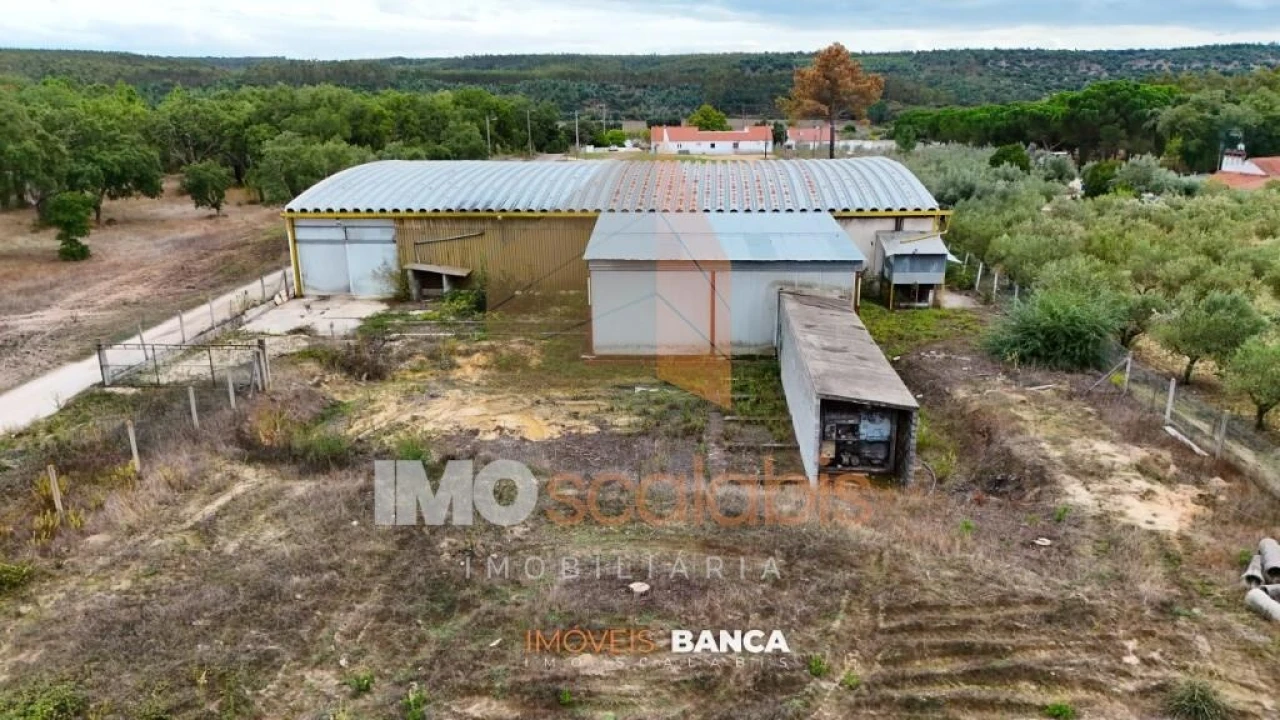 Armazém para Venda em Parreira e Chouto Foto 13