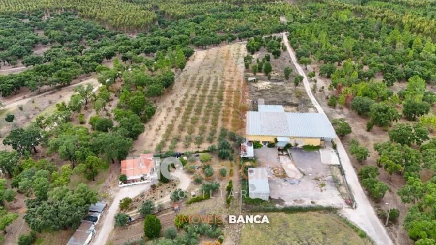 Armazém para Venda em Parreira e Chouto