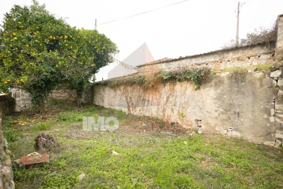 Moradia T3 para Venda em Almoster Foto 22