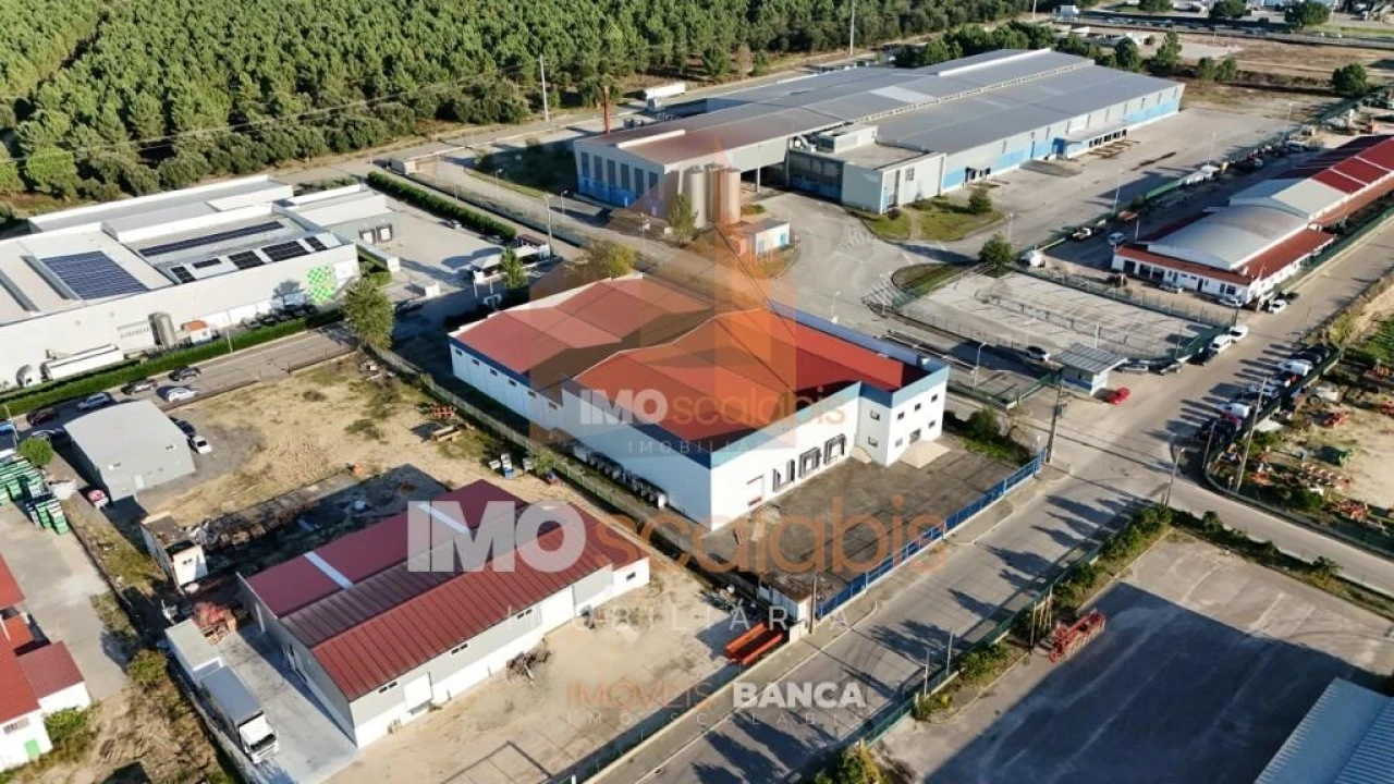 Armazém para Venda em Alpiarça Foto 3