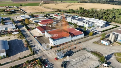 Armazém para Venda em Alpiarça