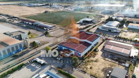 Armazém para Venda em Alpiarça