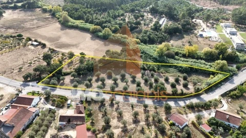 Terreno para Venda em Alcanede