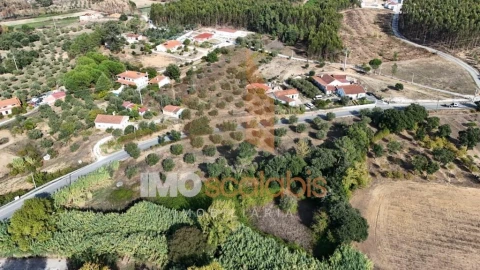 Terreno para Venda em Alcanede