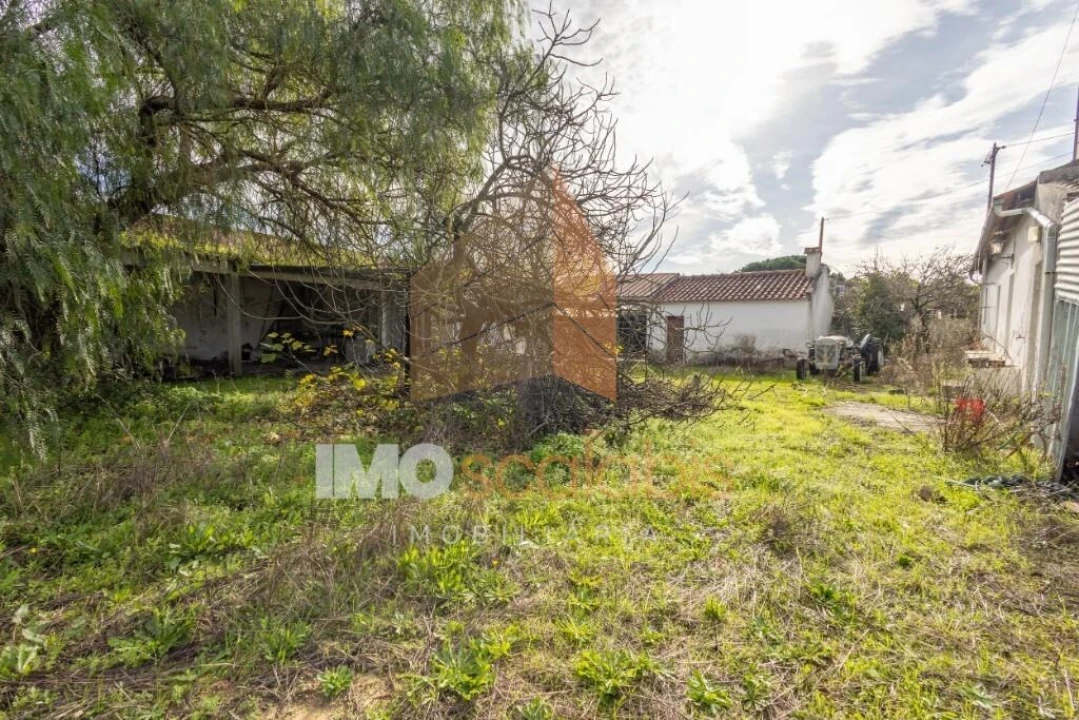 Terreno para Venda em Marvila, Ribeira Santarém, São Salvador, São Nicolau Foto 20