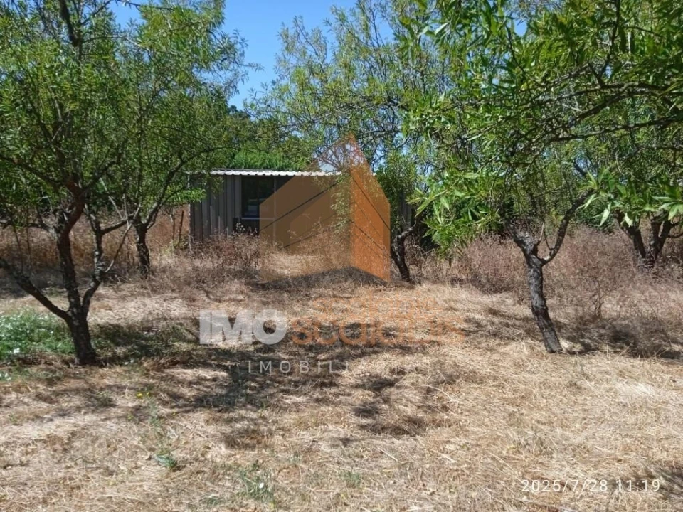 Terreno para Venda em Pontevel Foto 9