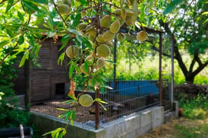 Terreno para Venda em Pontevel