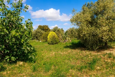 Terreno para Venda em Pontevel
