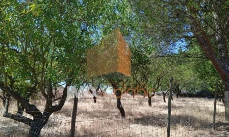 Terreno para Venda em Pontevel