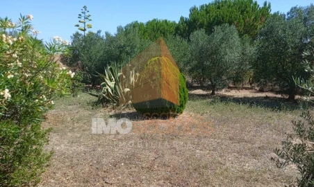Terreno para Venda em Pontevel
