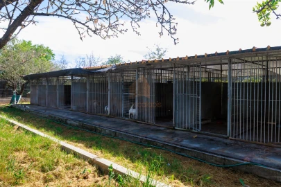 Terreno para Venda em Pontevel