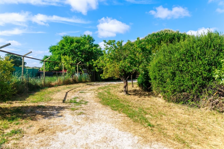 Terreno para Venda em Pontevel Foto 31